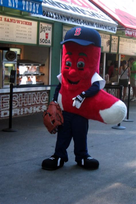 The Red Sox Mascot's Name 'Fenway' and Its Meaning in Boston